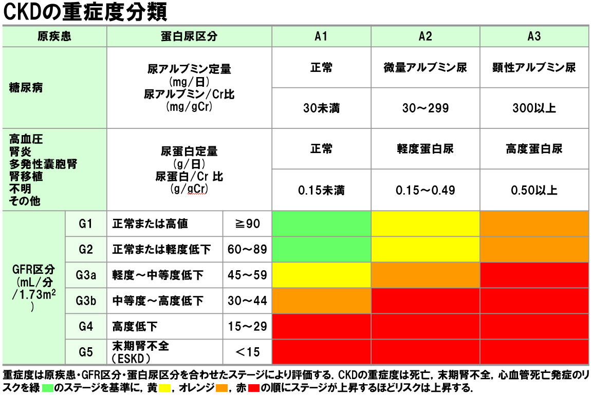 ステージ 4 の腎臓病とは何ですか?